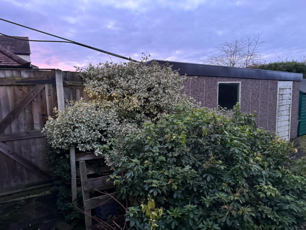 WhatsApp Image 2026-01-17 at 16.54.59 (2)